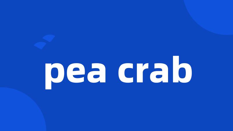 pea crab