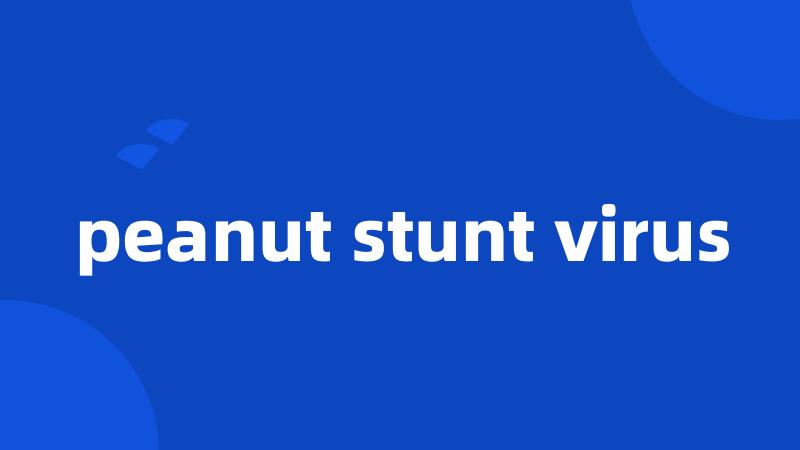 peanut stunt virus