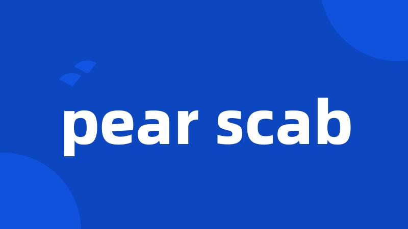 pear scab