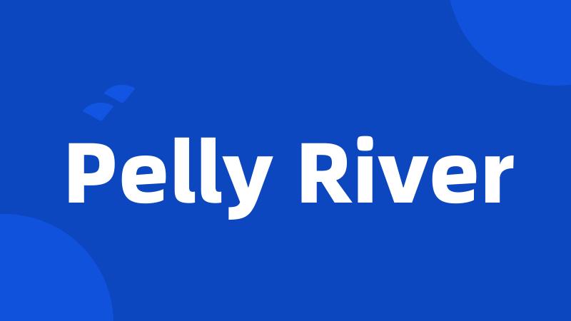 Pelly River