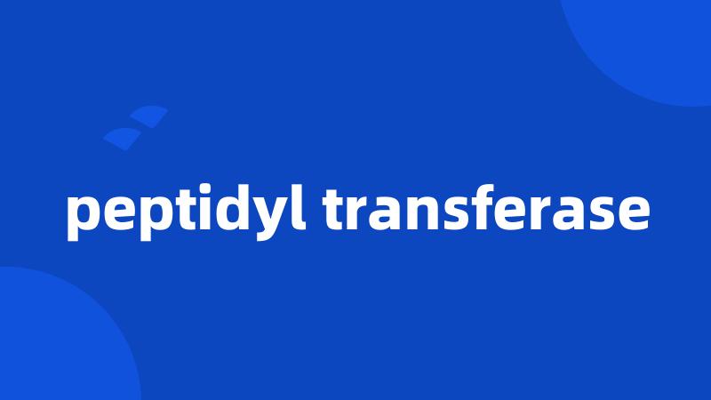 peptidyl transferase