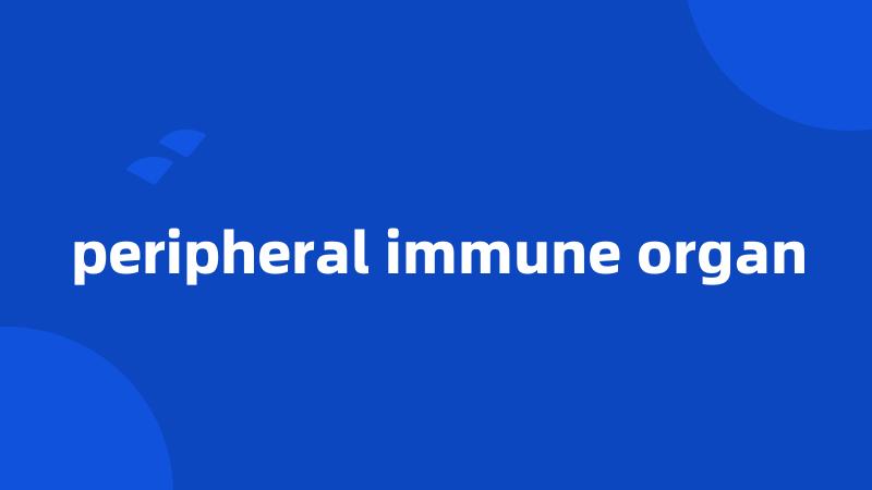 peripheral immune organ