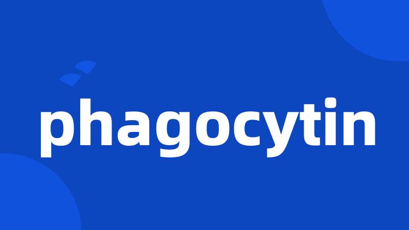 phagocytin