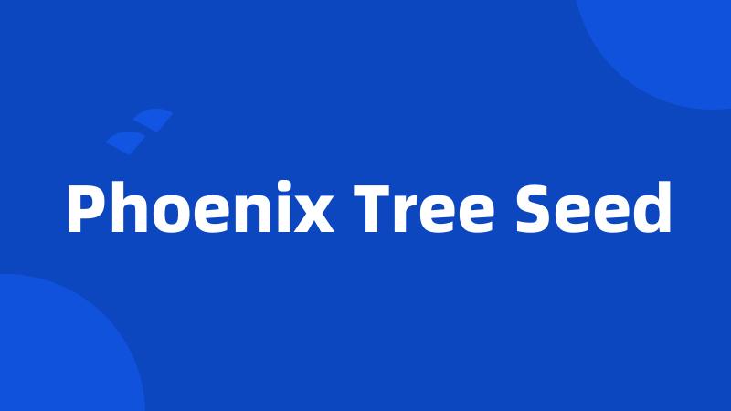 Phoenix Tree Seed