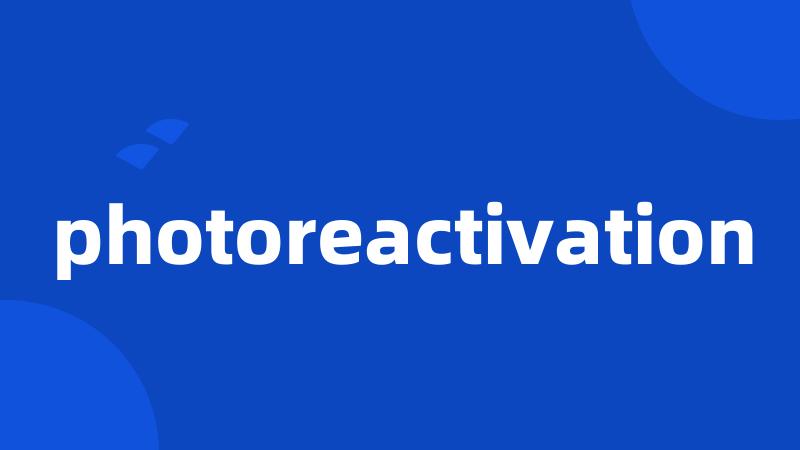 photoreactivation