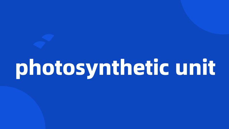 photosynthetic unit