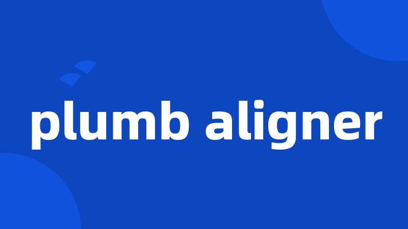 plumb aligner