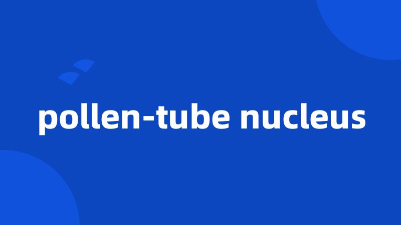 pollen-tube nucleus