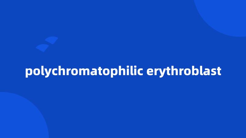 polychromatophilic erythroblast