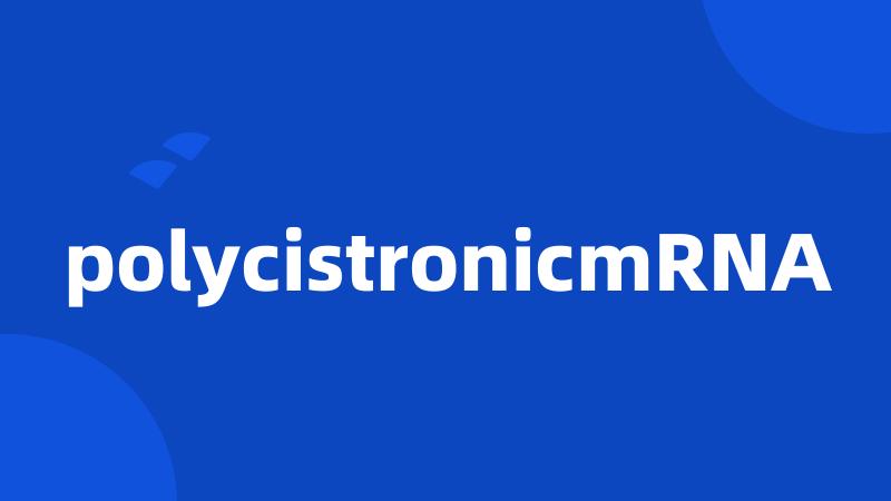 polycistronicmRNA