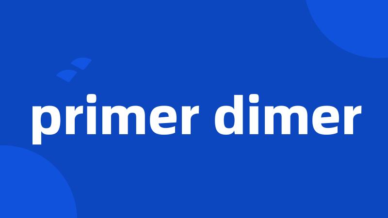 primer dimer