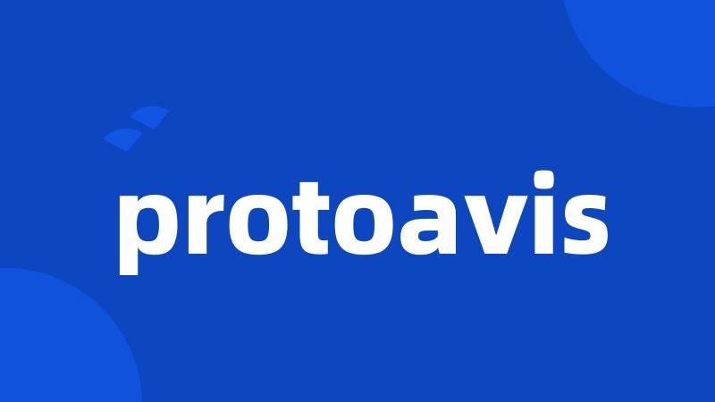 protoavis