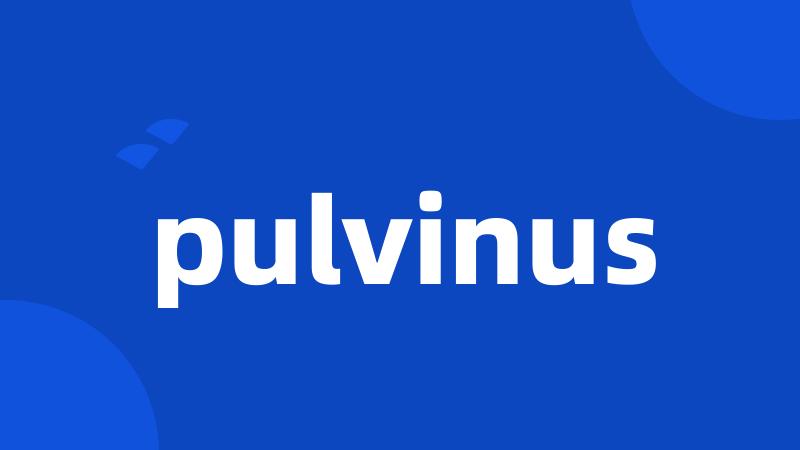 pulvinus