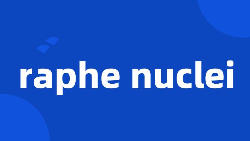 raphe nuclei