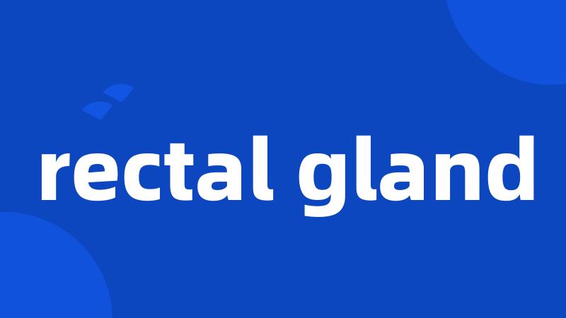 rectal gland