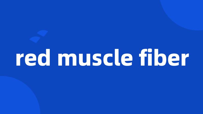 red muscle fiber