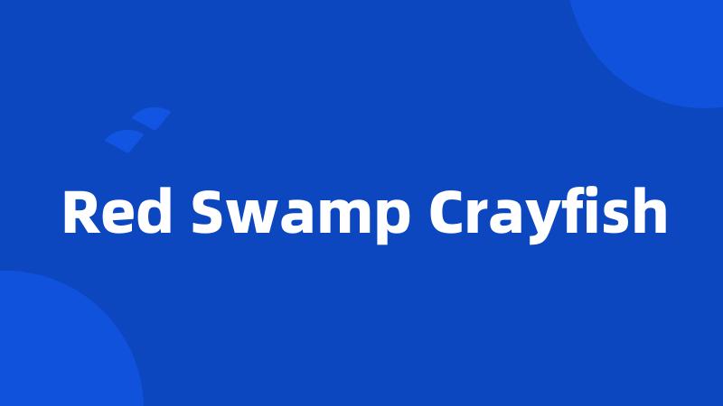 Red Swamp Crayfish