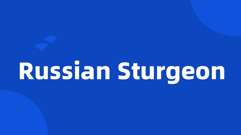 Russian Sturgeon