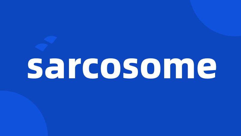 sarcosome