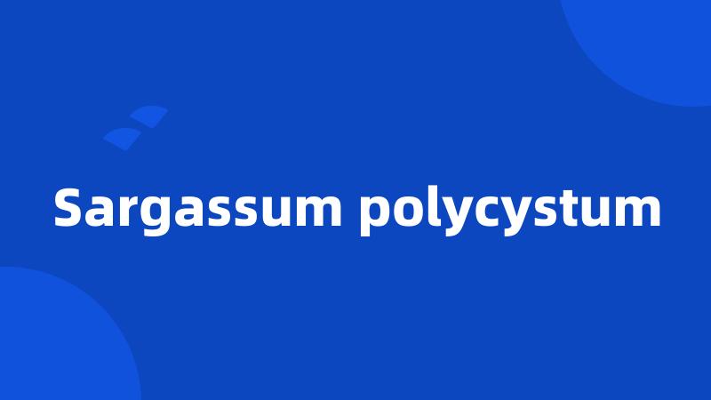 Sargassum polycystum