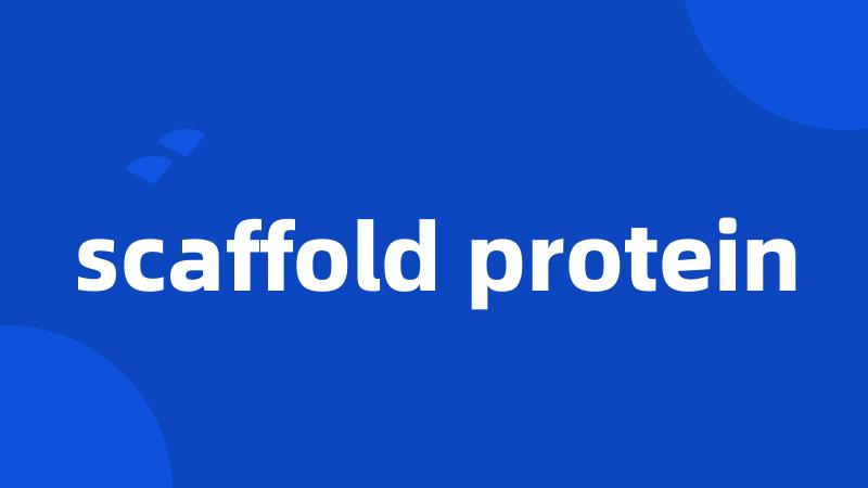 scaffold protein