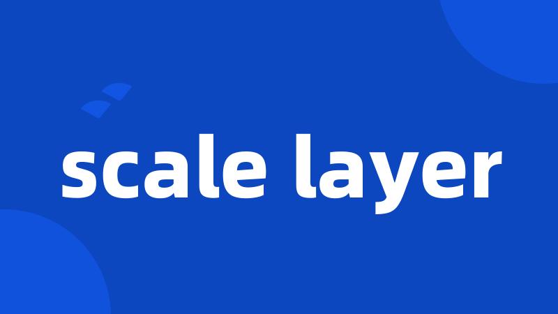 scale layer