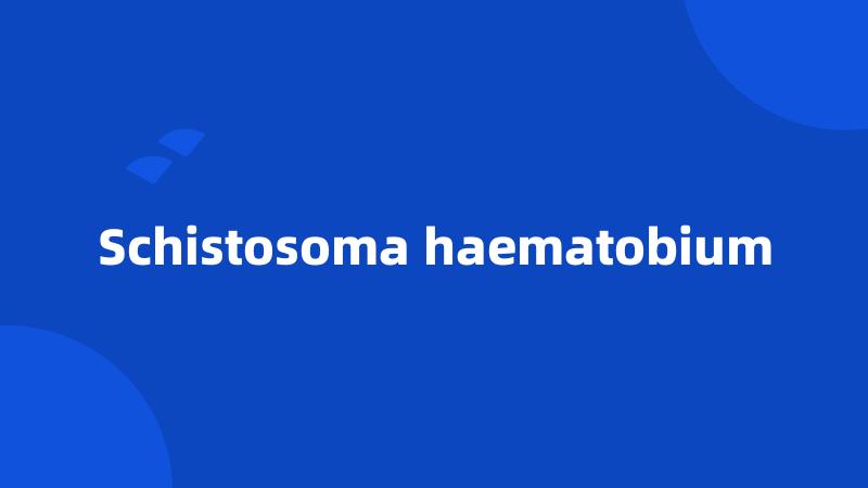 Schistosoma haematobium