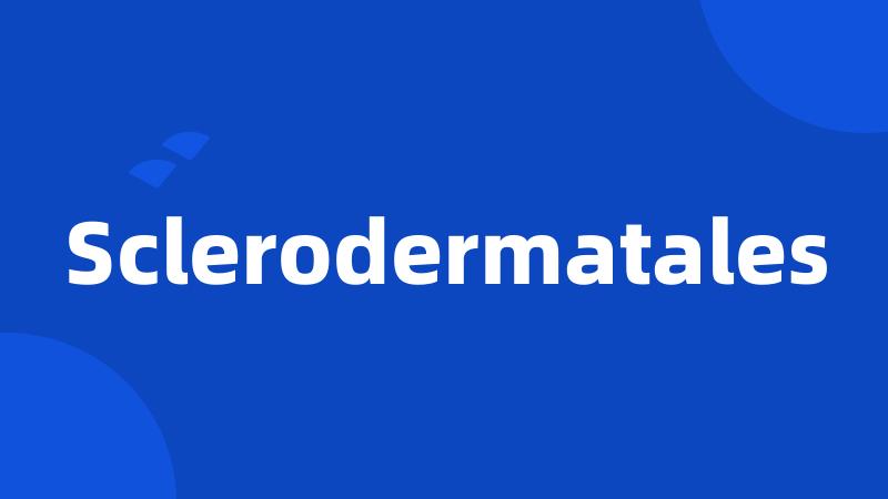 Sclerodermatales