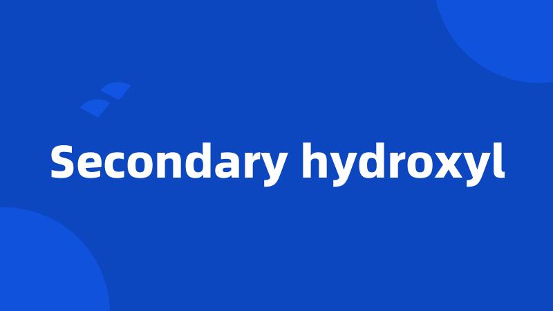 Secondary hydroxyl