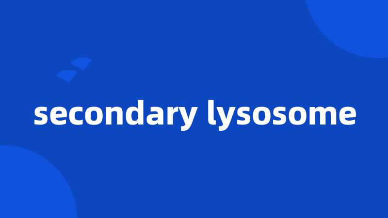 secondary lysosome