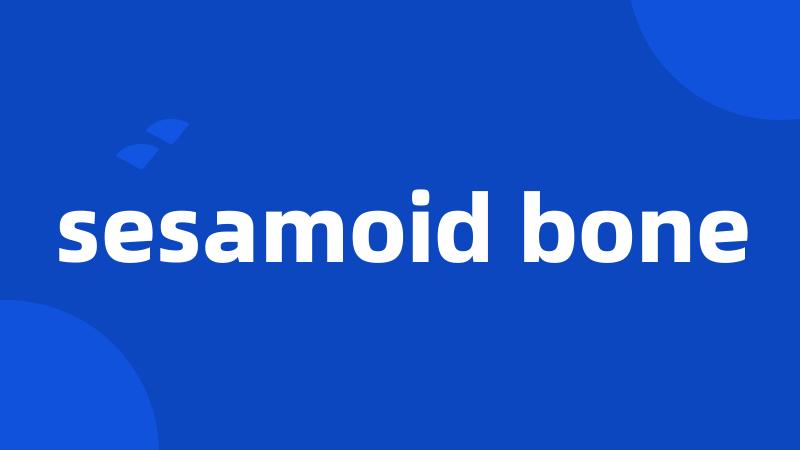 sesamoid bone