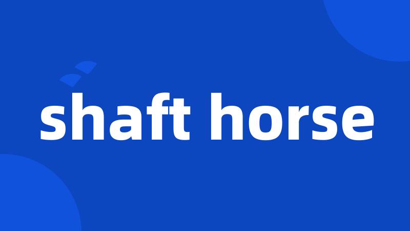 shaft horse