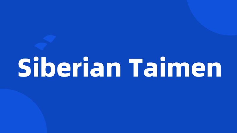 Siberian Taimen