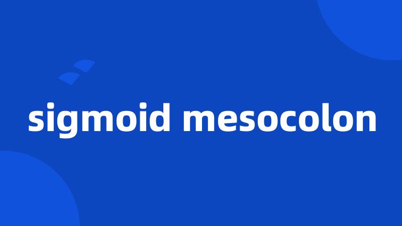 sigmoid mesocolon