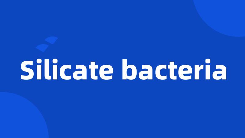 Silicate bacteria