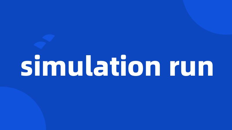 simulation run