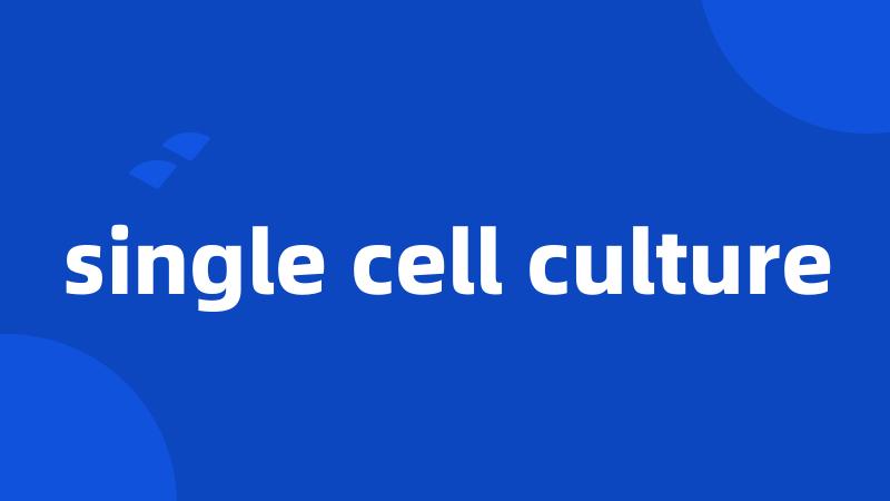 single cell culture