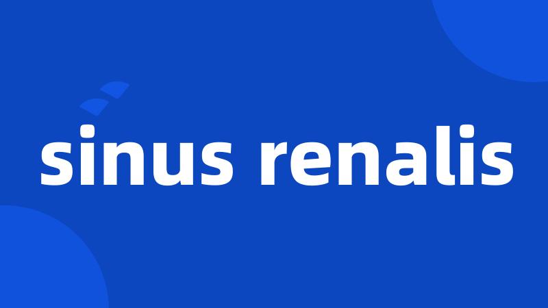 sinus renalis