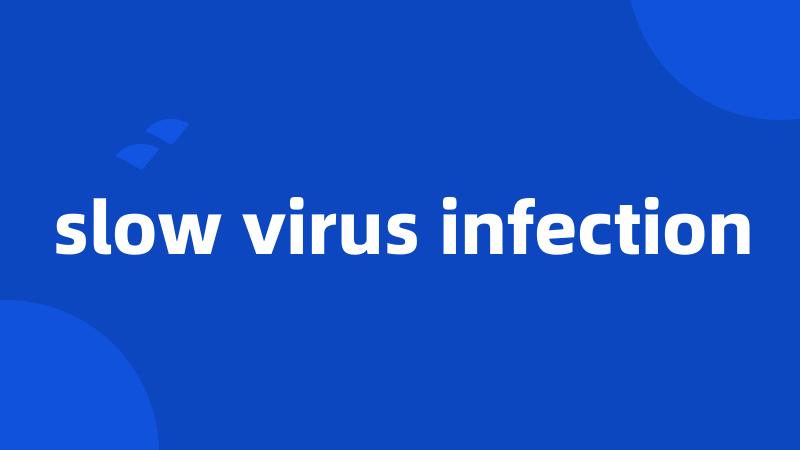 slow virus infection