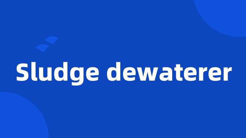 Sludge dewaterer