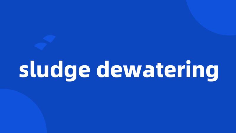 sludge dewatering