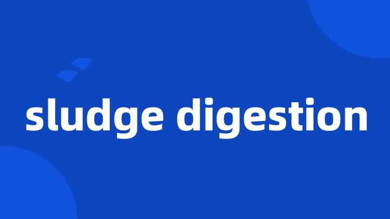 sludge digestion