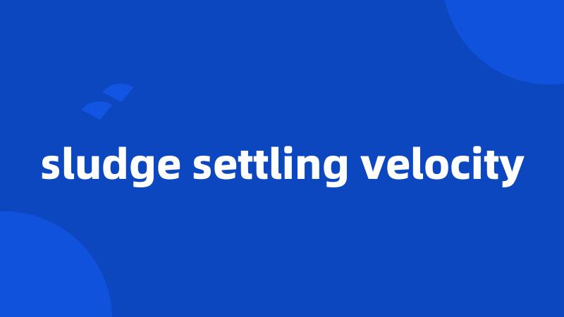 sludge settling velocity