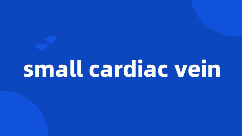 small cardiac vein