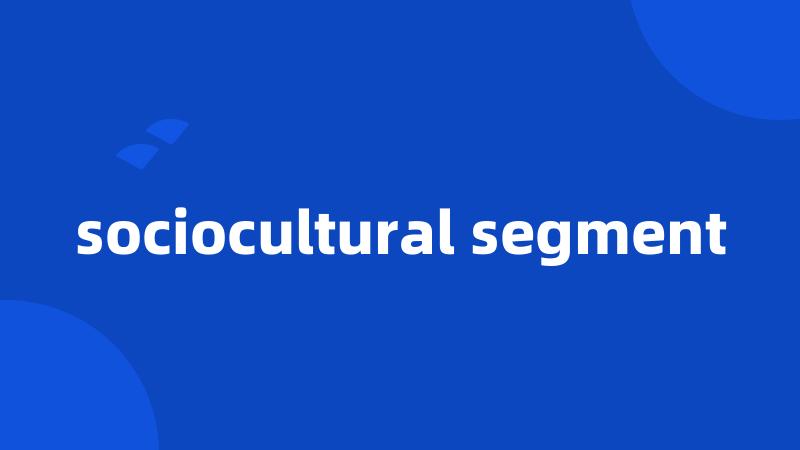 sociocultural segment