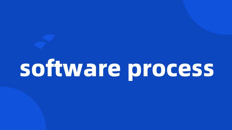 software process