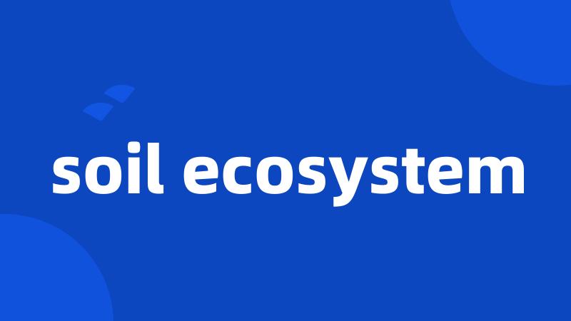 soil ecosystem