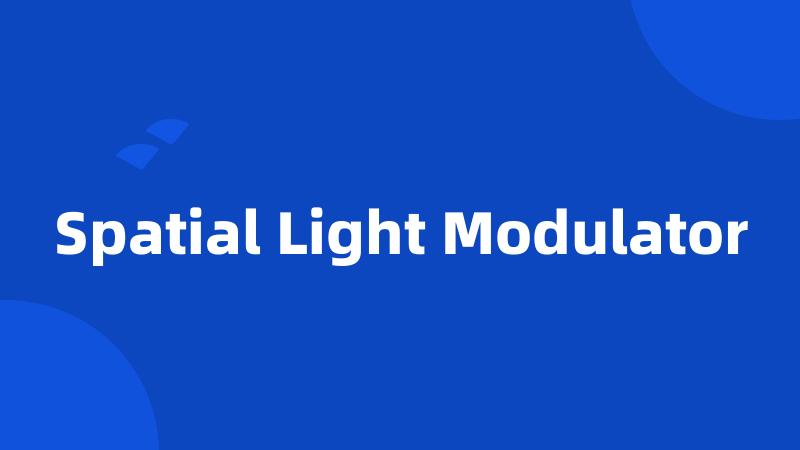 Spatial Light Modulator