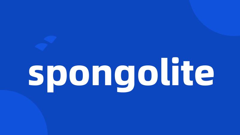 spongolite