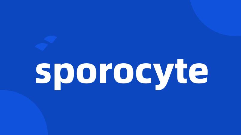 sporocyte